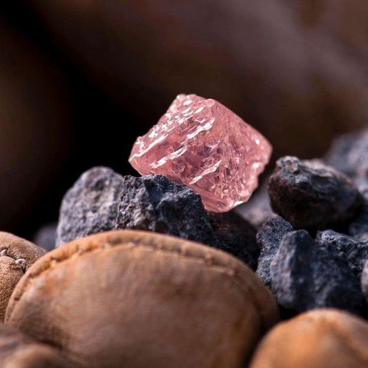 The Last of the Pink Diamonds